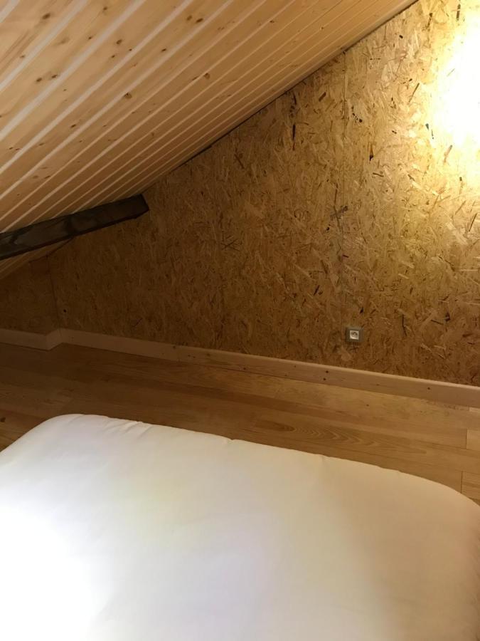 Studio De 35M2 Au Centre De Cusset 外观 照片