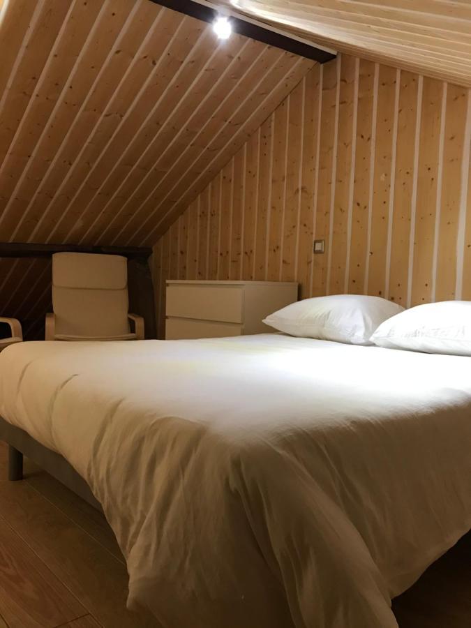 Studio De 35M2 Au Centre De Cusset 外观 照片